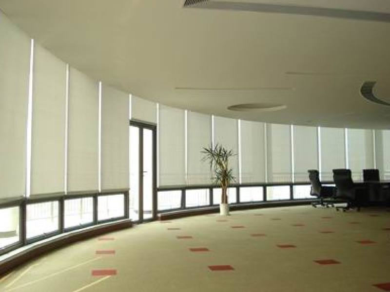 Window Blinds