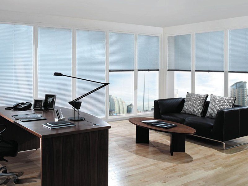 Window Blinds