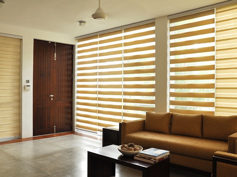 Window Blinds