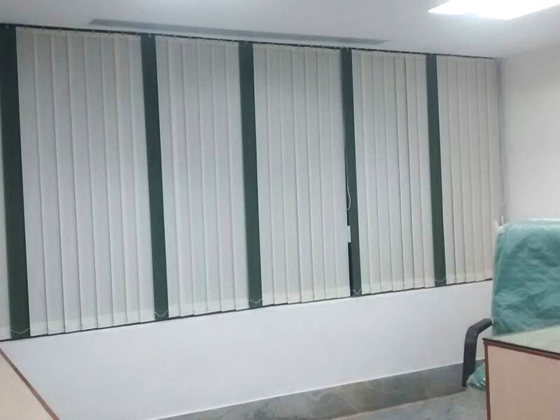 Window Blinds