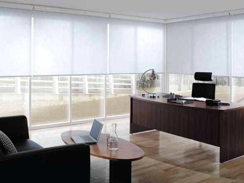 Window Blinds