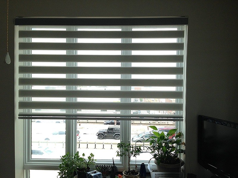 Window Blinds