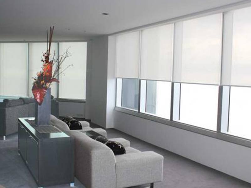 Window Blinds
