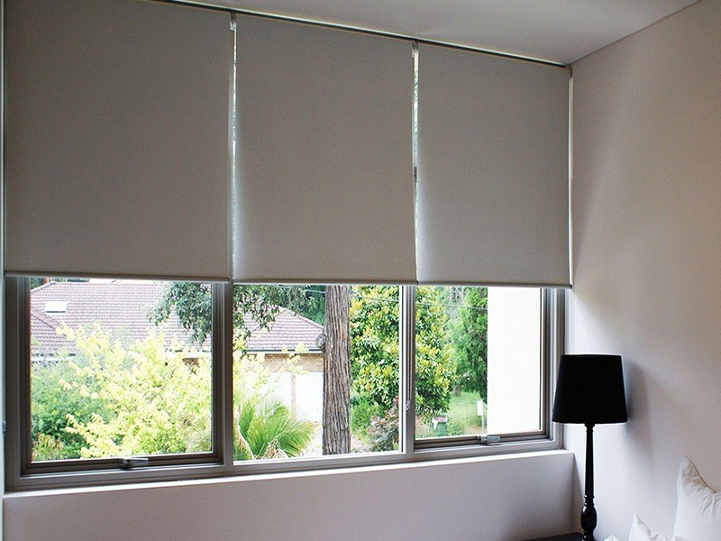 Window Blinds