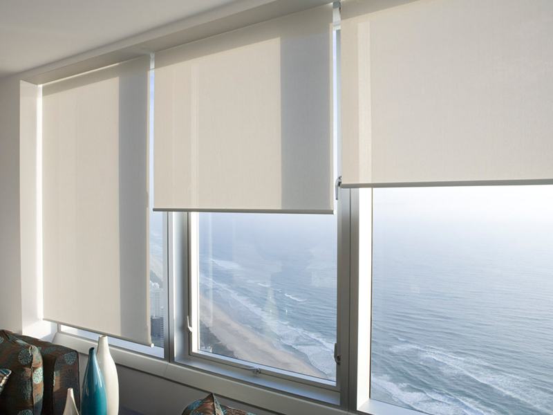 Window Blinds
