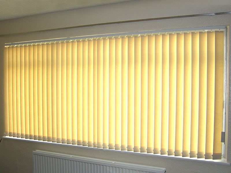 Window Blinds