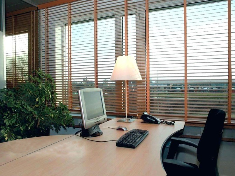 Window Blinds