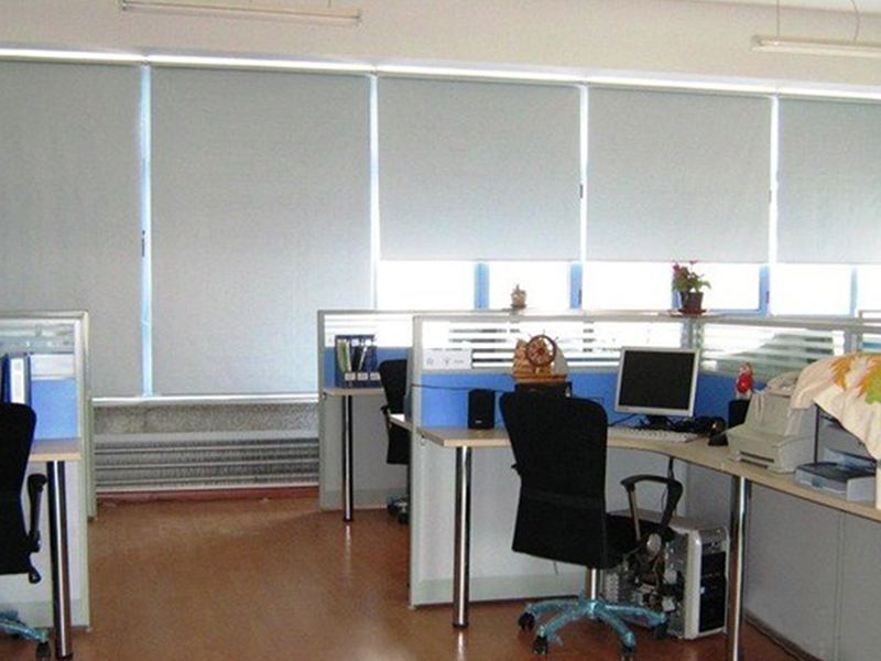 Window Blinds