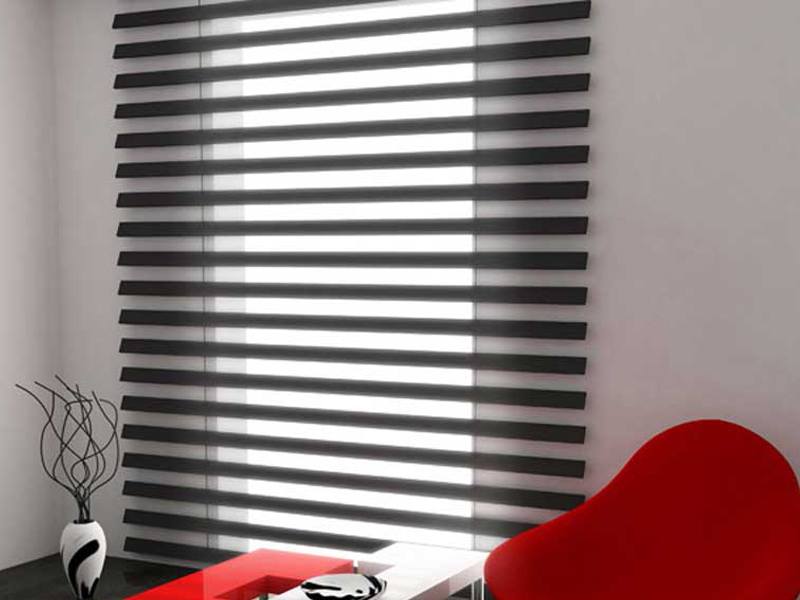 Window Blinds