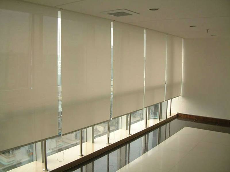 Window Blinds