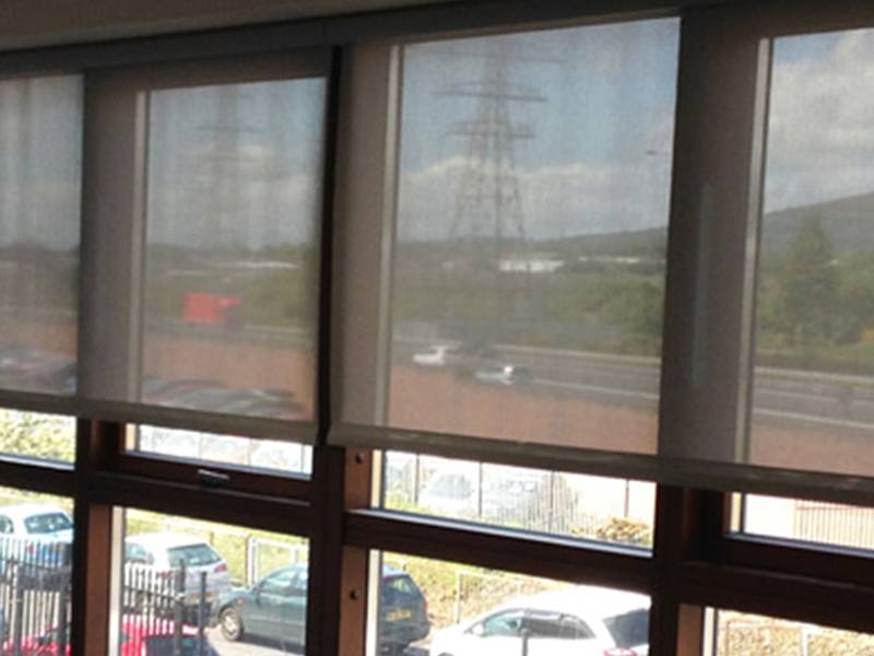 Window Blinds