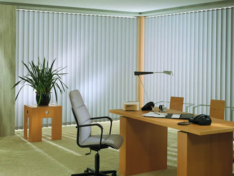 Window Blinds
