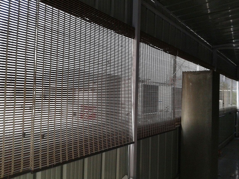 Window Blinds