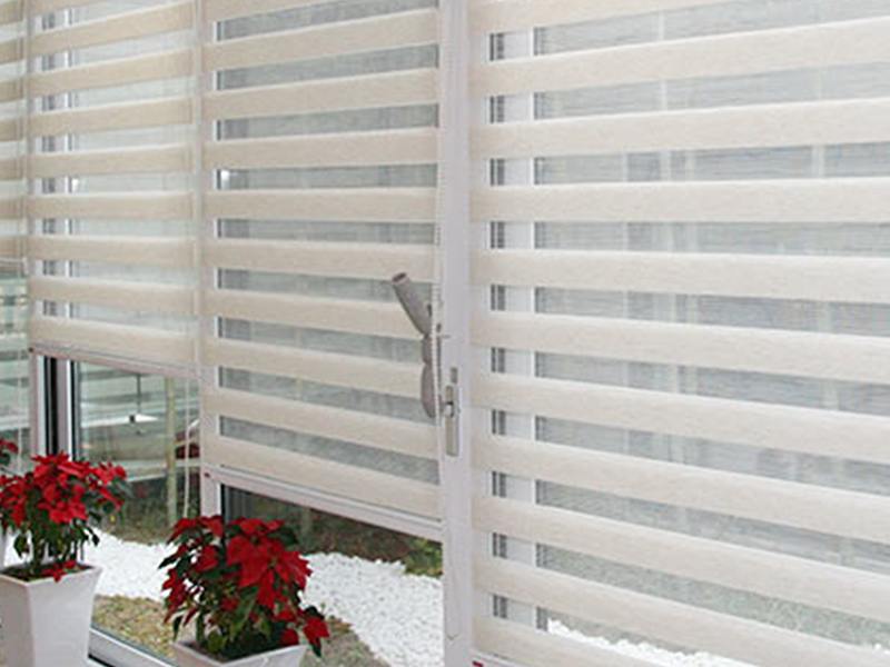 Window Blinds