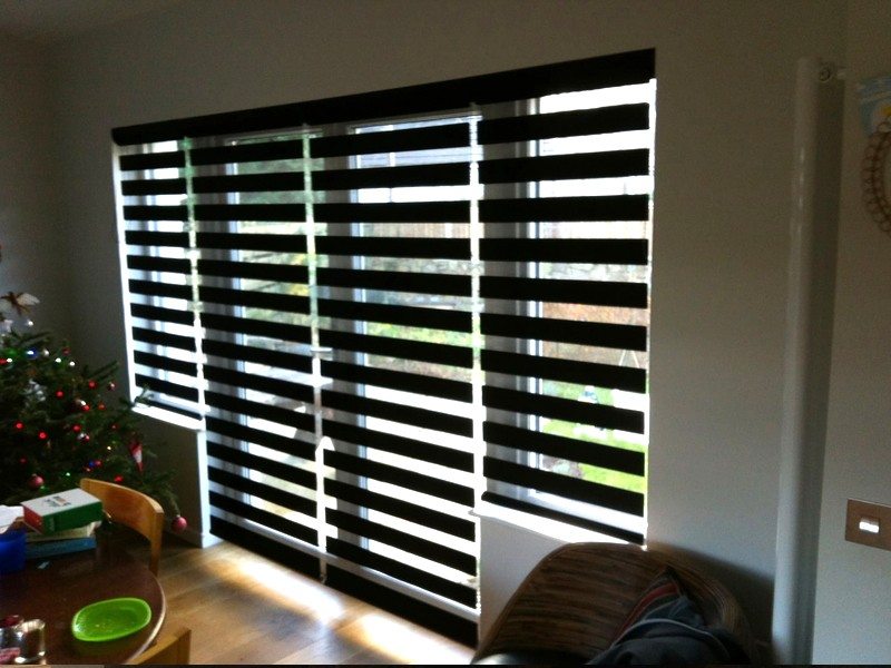 Window Blinds