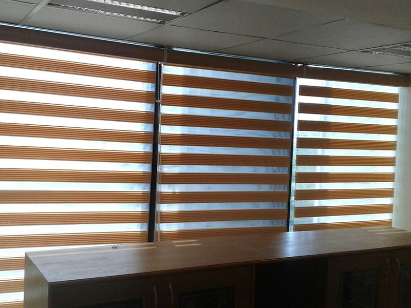 Window Blinds